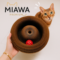 Miawa™ : Le Nid 3-en-1